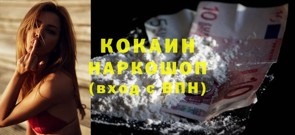 амф Гусь-Хрустальный