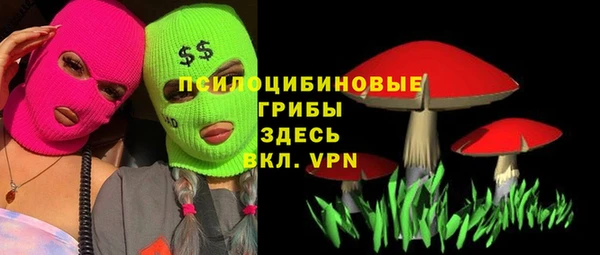 сатива Гусиноозёрск
