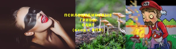 сатива Гусиноозёрск