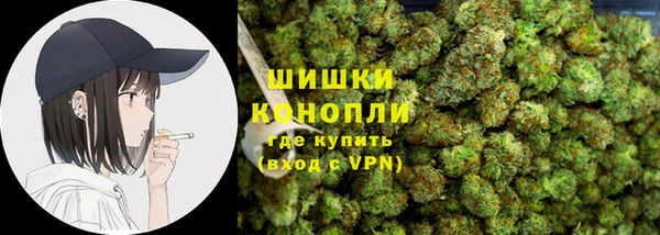 сатива Гусиноозёрск