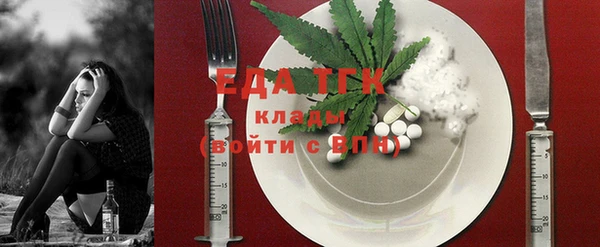 амф Гусь-Хрустальный