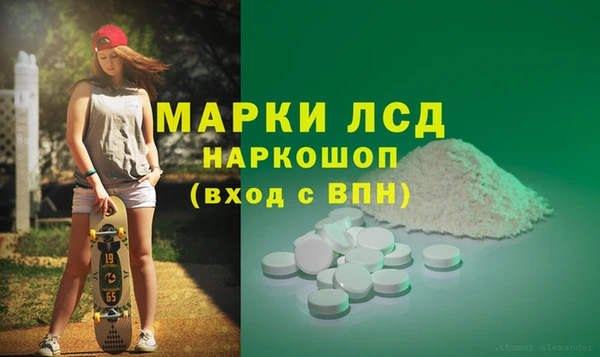 амф Гусь-Хрустальный