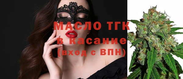 амф Гусь-Хрустальный