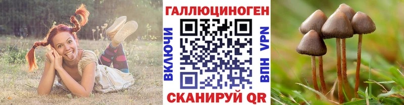 Галлюциногенные грибы MAGIC MUSHROOMS  купить наркотики цена  Котельниково 